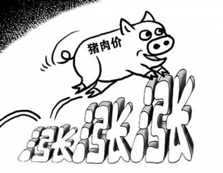 奥铃大黄蜂 让物流人跑得起绿通拉得起冷链 国民吃得起猪肉